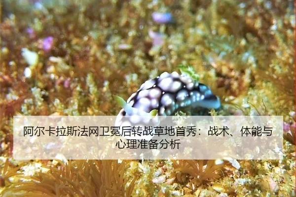 a-er-ka-la-si-fa-wang-wei-mian-hou-zhuan-zhan-cao-di-shou-xiu-zhan-shu-ti-neng-yu-xin-li-zhun-bei-fen-xi-2-989.jpg
