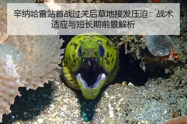 辛纳哈雷站首战过关后草地接发压迫：战术适应与短长期前景解析